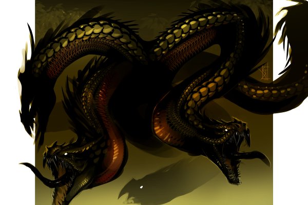 Сайт kraken в tor