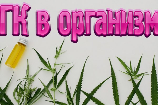 Кракен как проверить зеркало