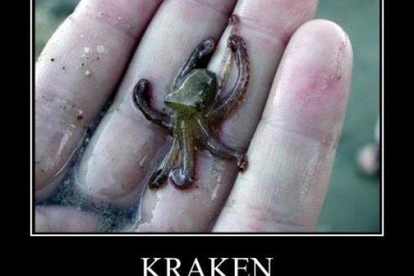 Магазин kraken даркнет