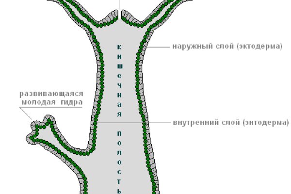 Ссылка кракен не работает