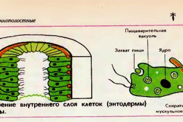 Через какой браузер зайти на кракен