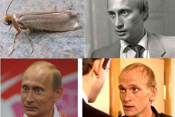 Адрес крамп