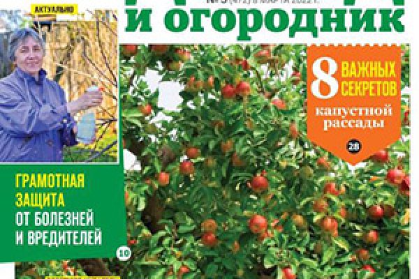 Где найти рабочую ссылку кракен
